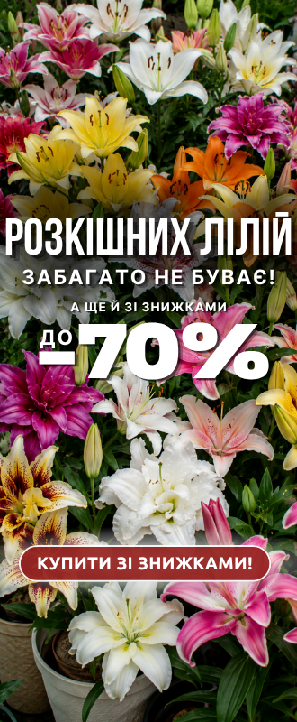 Полуниця