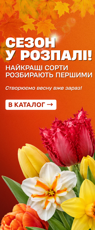 Семена
