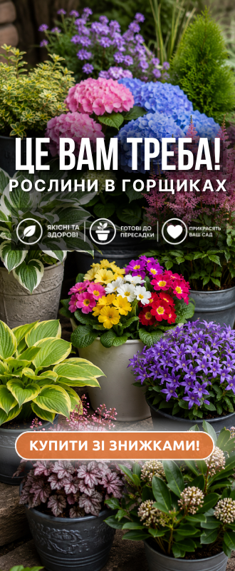 Полуниця