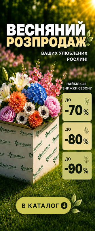 Насіння