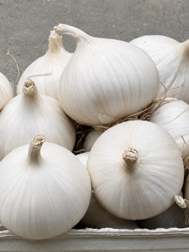 Часник Рокамболь (озимий/весняний) (однозубка) 0,2 кг