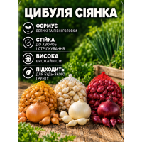 Мікс цибулі сіянки 1 кг.