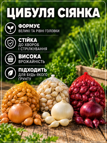 Мікс цибулі сіянки 1 кг.