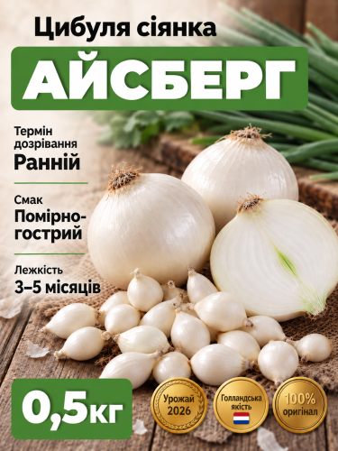 Лук сеянный Айсберг 0,5 кг.