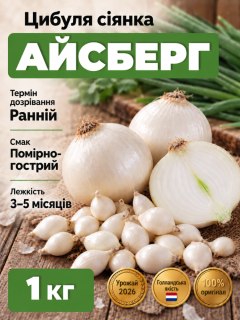Цибуля сіянка Айсберг 1 кг.