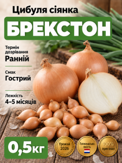 Лук сеянный Брекстон (Braxton) 0,5 кг.