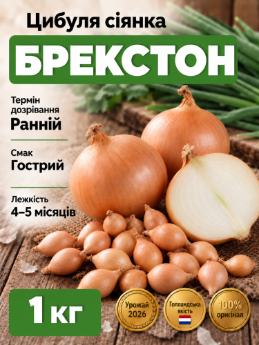 Лук сеянный Брекстон (Braxton) 1 кг.