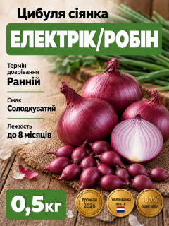 Лук сеялок Электрик/Робин 0,5 кг.