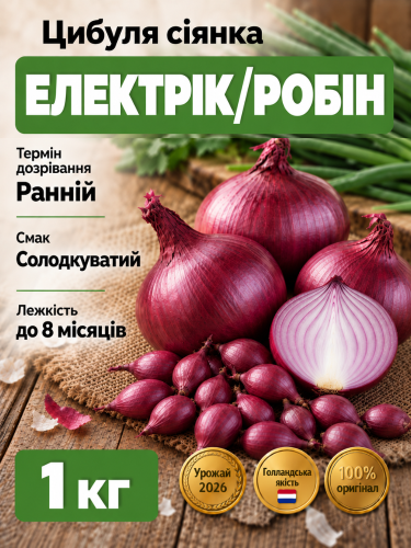 Цибуля сіянка Електрік/Робін 1 кг.