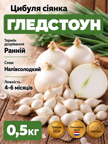 Лук севок Гледстоун 0,5 кг.