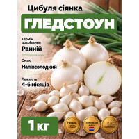 Цибуля сіянка Гледстоун 1 кг.