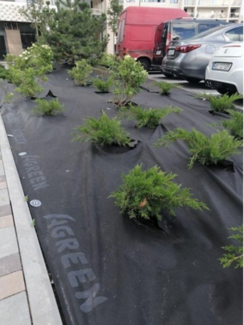 Агроволокно мульчуюче чорно-біле з перфорацією 3 отв. ТМ "Agreen" (щільність 50 г/м²) 1,6х5 м (8 м²)