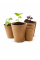 Торфʼяний стаканчик (круглий, 8х8 см)