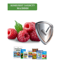 Комплект захисту Малини