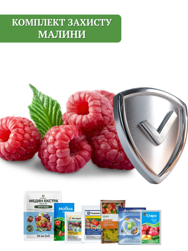 Комплект захисту Малини