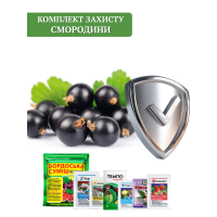 Комплект защиты Смородины