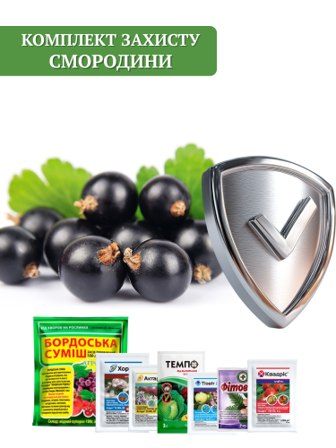 Комплект захисту Смородини