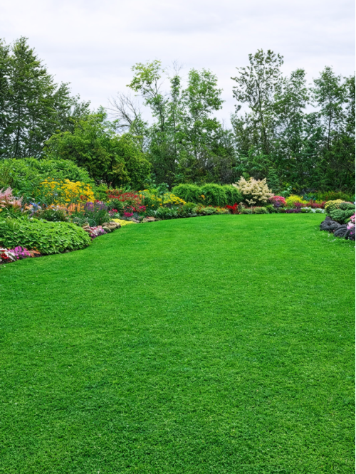 Газон ландшафтный Eurograss ТМ "Усадьба центр" 500 г.