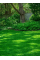 Газон теневыносливый Eurograss ТМ "Усадьба центр" 500 г.