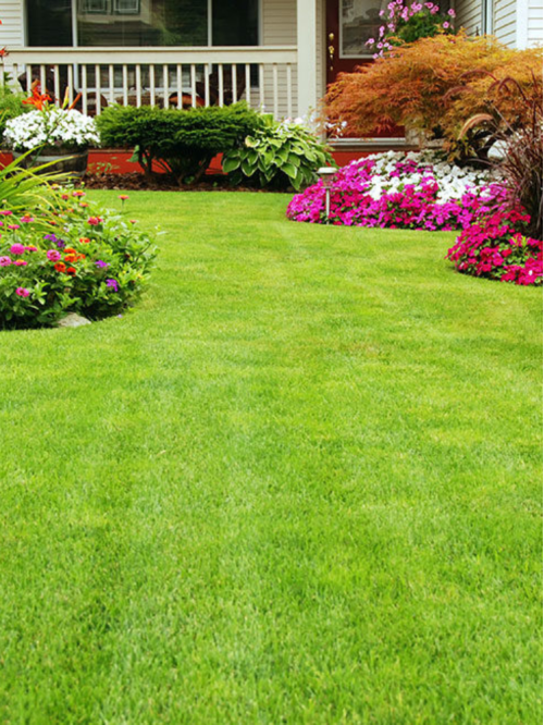 Газон универсальный Eurograss ТМ "Усадьба центр" 500 г.