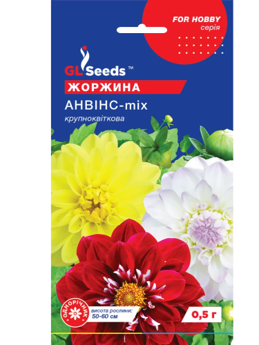 Жоржина "Анвінс" ТМ "GL Seeds" 0,5 г.