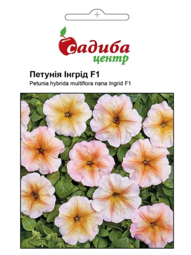 Петуния "Ингрид F1" ТМ "Усадьба центр" 10 шт.