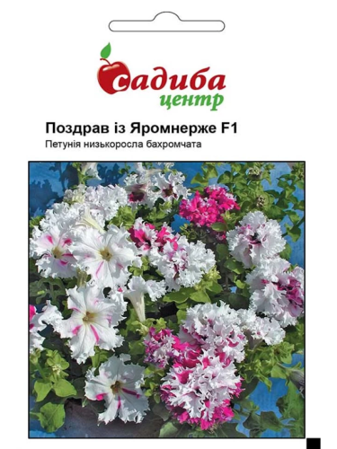 Петунія "Поздрав із Яромнерже F1" ТМ "Садиба центр" 10 шт.