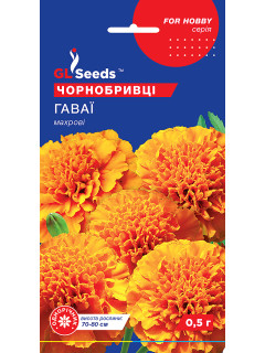 Чорнобривці "Гаваї" ТМ "GL Seeds" 0,5 г.
