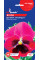 Віола "Долина троянд F1" ТМ "GL Seeds" 0,1 г.