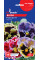 Віола "Рококо F1" ТМ "GL Seeds" 0,1 г.