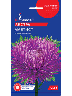 Айстра "Аметист" ТМ "GL Seeds" 0,2 г.