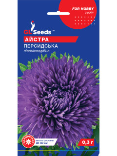 Айстра "Персидська" ТМ "GL Seeds" 0,3 г.