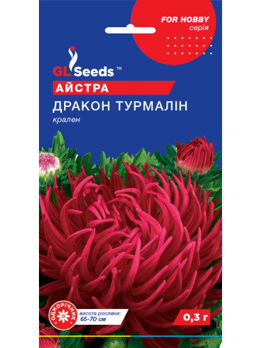 Астра "Дракон Турмалин" ТМ "GL Seeds" 0,3г.
