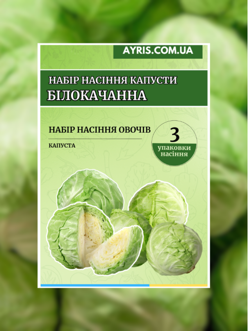 Набір насіння капусти Білокачанна (3 упаковок)