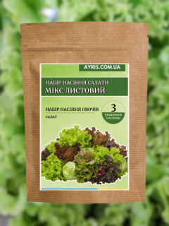 Набір насіння салати Мікс Листовий (3 упаковки)
