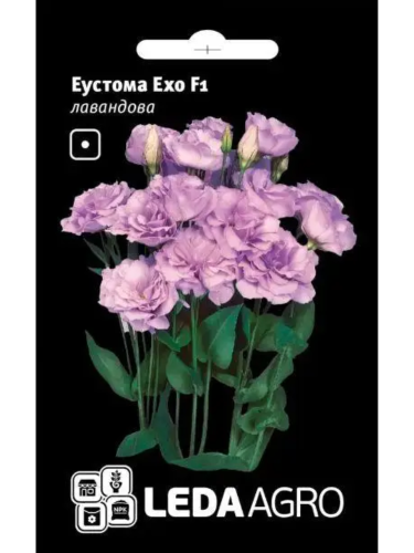 Еустома "Ехо F1" лавандова ТМ "Leda Agro" 5 шт.