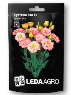 Еустома "Ехо F1" шампань ТМ "Leda Agro" 5 шт.