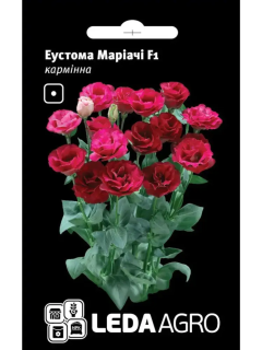 Еустома "Маріачі F1" кармінна ТМ "Leda Agro" 5 шт.