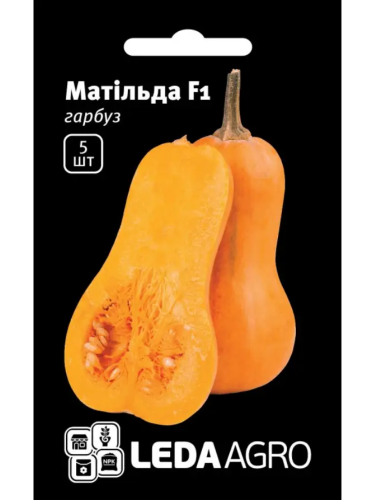 Гарбуз "Матільда F1" ТМ "Leda Agro" 5 шт