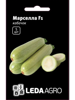 Кабачок "Марсела F1" ТМ "Leda Agro" 5 шт