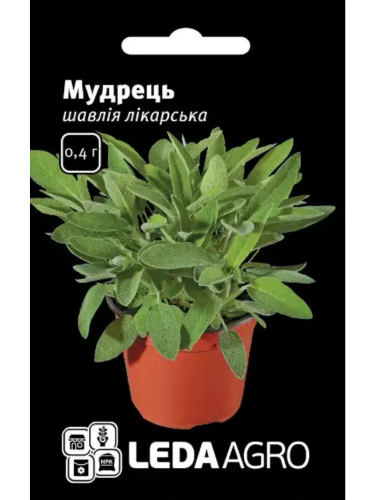 Шавлія лікарська "Мудрець" ТМ "Leda Agro" 0,4 г