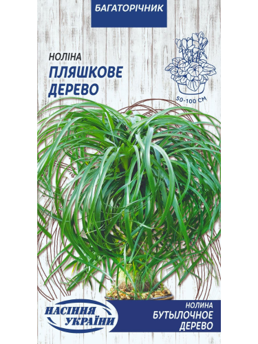 Ноліна "Пляшкове дерево" ТМ "Насіння України" 4 шт.