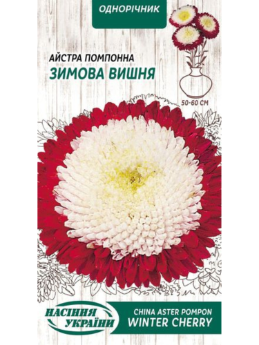 Астра помпонная "Зимняя вишня" ТМ "Семена Украины" 0,25 г.