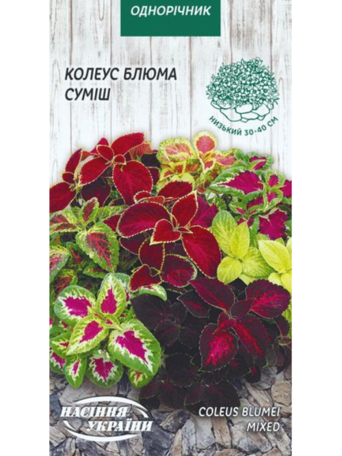 Колеус "Блюма (суміш)" ТМ "Насіння України" 0,05 г в упаковці