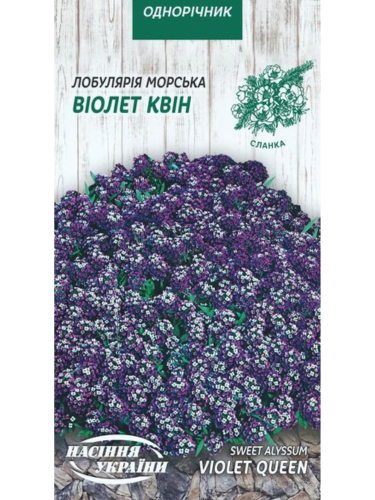 Лобулярия морская "Виолет Квин" ТМ "Семена Украины" 0,1 г.