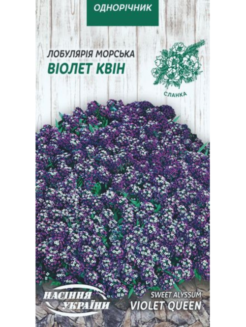 Лобулярия морская "Виолет Квин" ТМ "Семена Украины" 0,1 г.