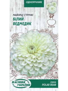 Майорці (цинія) стрункі "Білий ведмедик" ТМ "Насіння України" 0,5 г.