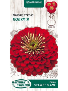Майорці (цинія) стрункі "Полум'я" ТМ "Насіння України" 0,5 г.