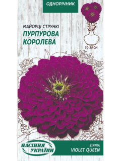 Майорці (цинія) стрункі "Пурпурова корелева" ТМ "Насіння України" 0,5 г.