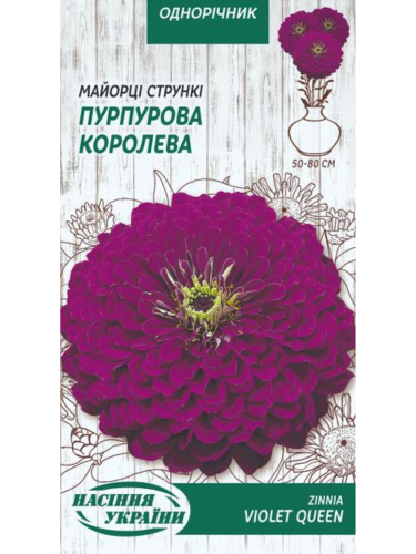 Майорці (цинія) стрункі "Пурпурова корелева" ТМ "Насіння України" 0,5 г.